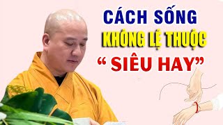 Học Cách Sống 'KHÔNG BỊ LỆ THUỘC 'Siêu Hay'  _ Thầy Thích Pháp Hòa Giảng