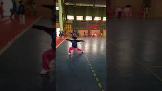 Wushu Jianshu 1 to 4 sections