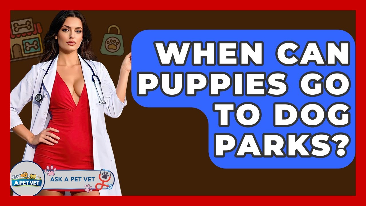 When Can Puppies Go To Dog Parks? - Ask A Pet Vet