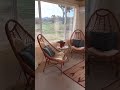 Joshua Tree Airbnb