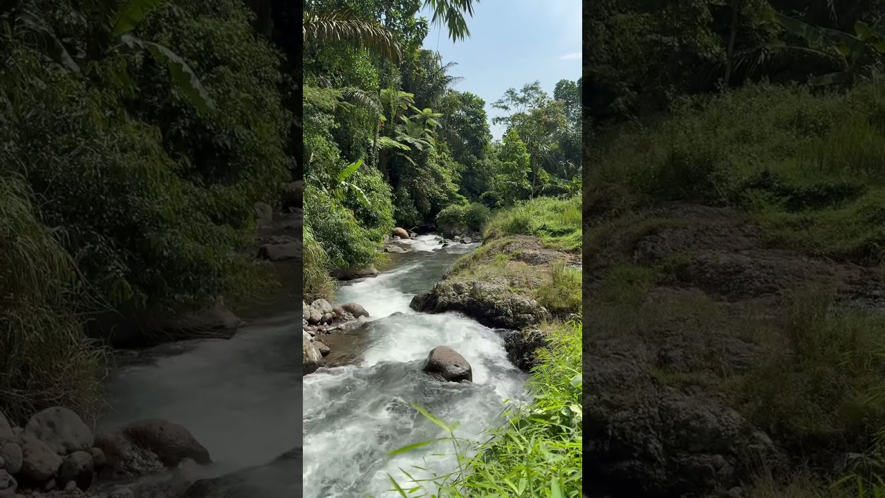 River Flow ASMR • Nature Sounds for Deep Relaxation 