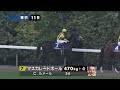2025年第172回天皇賞 秋 G 本馬場入場