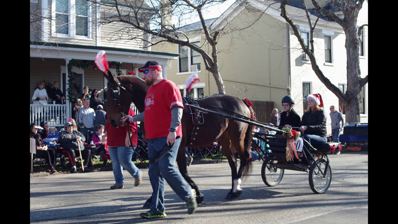 2017 Lebanon Ohio Christmas Horse Parade YouTube