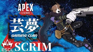 e-sports Clan『芸夢』チームオーナーとして『ESCLスクリム』を応援する 2024年8月9日【APEXミラー配信】ラバルル