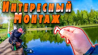:   ,  ??!! |   | Jara Baits