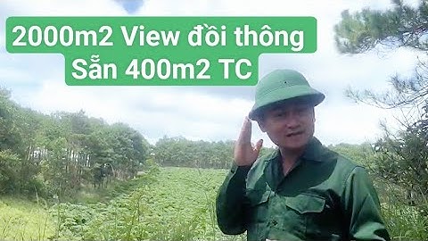 2000m2 có 400 TC view rừng thông ngay cạnh Bảo Lộc.