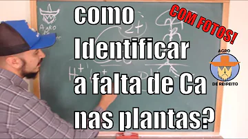 Para que serve o carbonato de cálcio na agricultura?