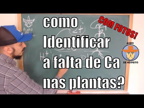 Vídeo: Solucionando problemas de doença de tremoço: quais doenças afetam as plantas de tremoço