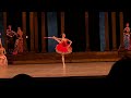 Elizaveta Kokoreva Don Quixote Variation