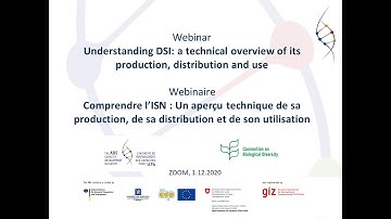 Understanding DSI - a Technical Overview of its Production, Distribution and Use (English)