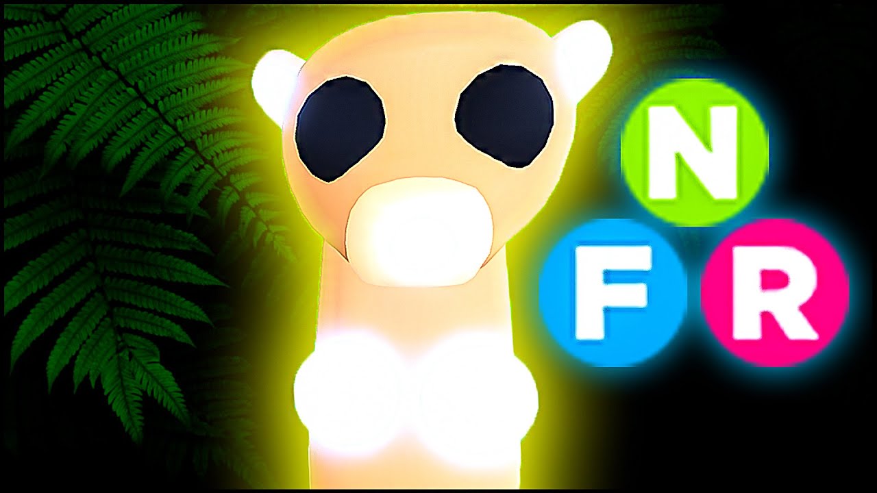 NEON Meerkat YouTube neon-meerkat-youtube