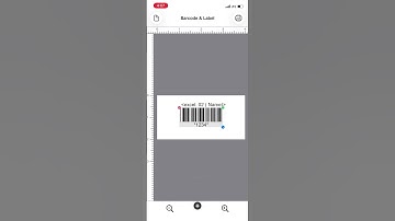 Print Barcode Labels from Excel on iOS