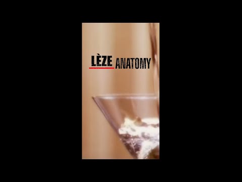 #5 Lèze anatomy : la PCA