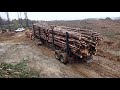 Getting loaded Peterbilt log trucks out in the pouring rain!