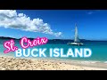 What to Expect on a Buck Island Tour in Beautiful St Croix U.S. Virgin Islands