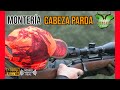 MONTERÍA CABEZA PARDA 2024 | IBERCAZA ANTONIO BUENO #225