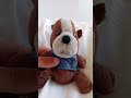 Teddy the Dog dance #short
