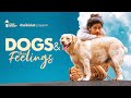 Dogs & their feelings | If Dogs Could Speak | ft. @Kiraak Style  Abhignya |Girl Formula| Chai Bisket