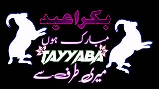 Bakra Eid editing status name Tayyaba black screen ||New edit status black screen screenshot 4