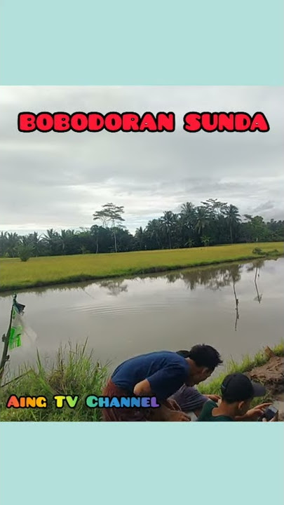 Komedi Sunda|| Bobodoran Sunda~ Aing TV Channel #Shorts