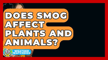 Does Smog Affect Plants And Animals? - Weather Watchdog