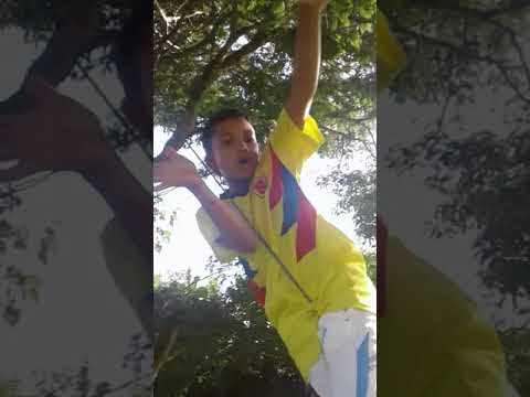 Super Yon Z