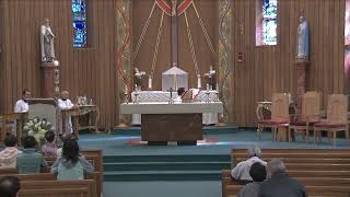 Daily Mass - Wednesday, May 20, 2026 - 8:30 AM