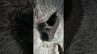 Rare Photos You've Never Seen Before [Part 192