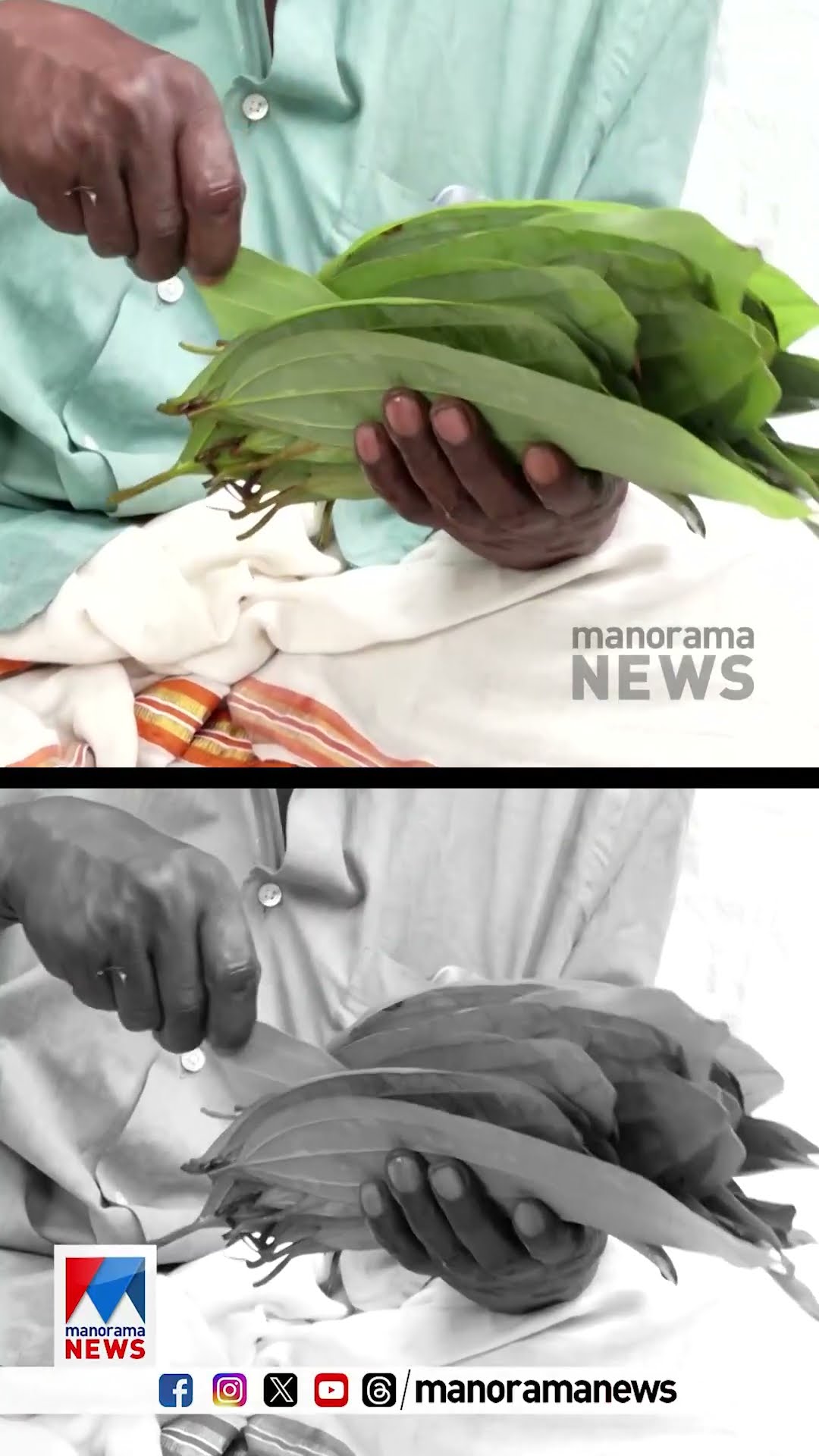 ആറ്റുകാൽ പൊങ്കാലയിൽ ആണുങ്ങൾക്ക് എന്താണ് കാര്യം! കാണാം #attukalpongala