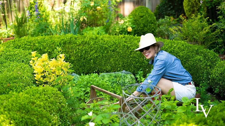 Harvesting Arugula from the Potager // Linda Vater