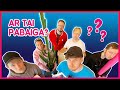 IŠSIKRAUSTOM | Lauritta, STIMOMEDIA, Talžūnas, Vėjas | Pildyk ofisas