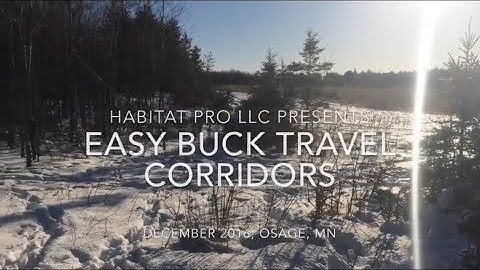 Easy Buck Travel Corridors