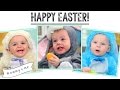 Easter Bunny Babies! | A Story of...