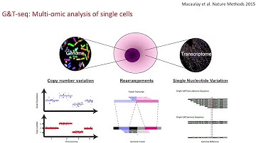 E14.1 Single-cell multi-omics: interrogating multiple omic layers of the same single cellon