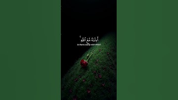 اكتب شيء تؤجر عليه 🎧❤ / القارئ ياسر الدوسري