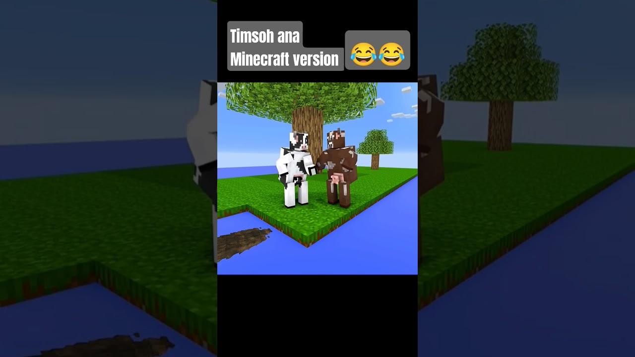 TIMSOH MINECRAFT VERSION 😂😂🤦🏼‍♀️ 