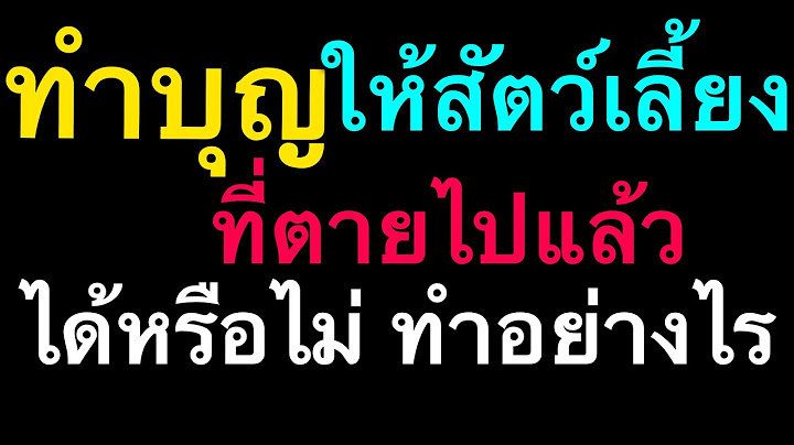 ต องปล อยให แมวตาบเพราะไม ม เง นร กษา