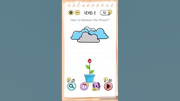 Brain Test Level 2  How to blossom this flower?