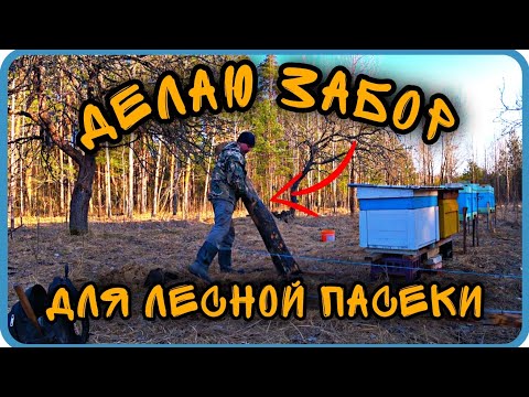 ЗАБОРЧИК ДЛЯ ЛЕСНОЙ ПАСЕКИ. СНЁС БЕСЕДКУ НА ХУТОРЕ.