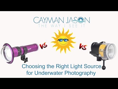 video-lights,-strobes,-and-ambient-light-for-underwater-photography