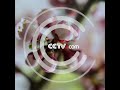 톈산의 봄  | CCTV 한국어방송