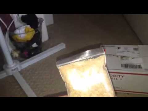 camera iphone 8 plus apk Hermit Crab Patch Haul: 4/22/14