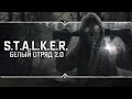 S.T.A.L.K.E.R.: Белый Отряд 2.0 💥 Полное прохождение!