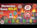 The Secret Life Of Hormones How They Control You Without You Knowing The Secret Life Of Hormones How They Control You Without You Knowing