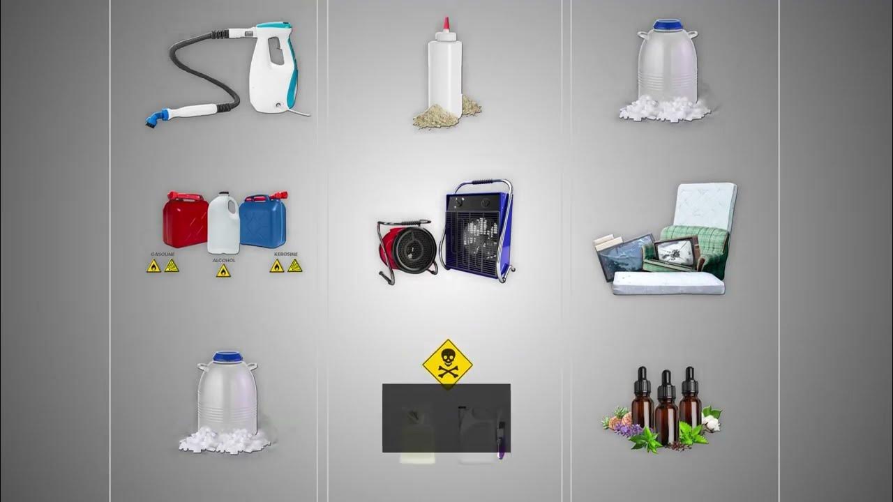 Advantages and Disadvantages of Available Bed Bug Treatments YouTube