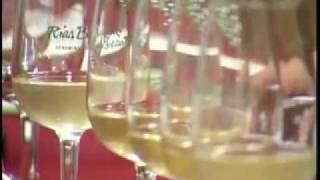 Rías Baixas wine route (Ruta do Viño Rías Baixas ) - English.avi