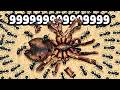 1000 Ants vs Strongest Spider