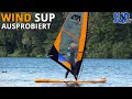 Wind SUP: Aufblasbares SUP-Board mit Segel ausprobiert | Erfahrungen einer Anfängerin (Windsurfen)