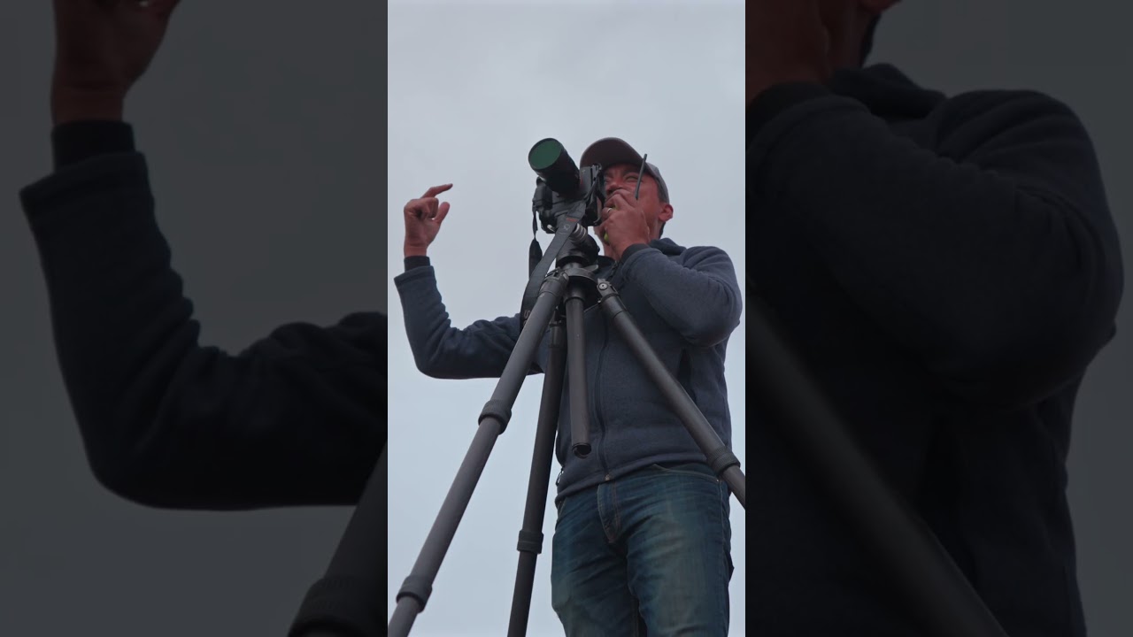 2026 Performance Car of the Year Teaser