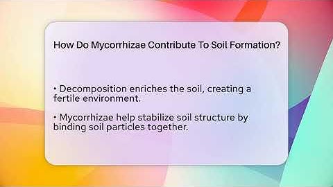 How Do Mycorrhizae Contribute To Soil Formation? - The Geography Atlas